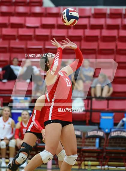 Thumbnail 3 in Albany vs Strawn (Eastland Volleyball Showdown 2025) photogallery.