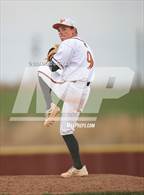 Photo from the gallery "Windsor @ Mead"