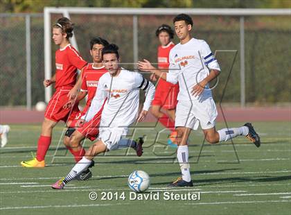 Thumbnail 2 in Lodi @ Cosumnes Oaks (CIF SJS D2 Playoffs) photogallery.