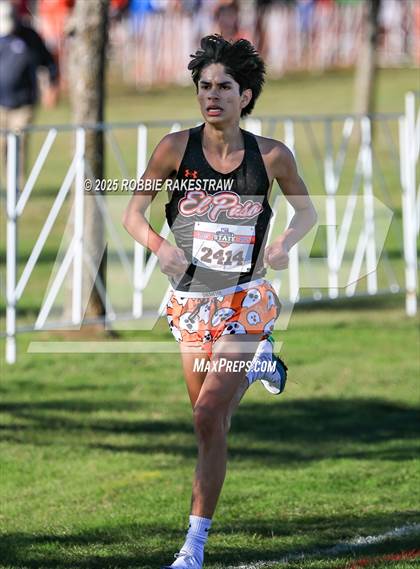 Thumbnail 1 in UIL 5A Boys Cross Country State Final photogallery.