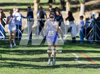 Thumbnail 1 in UIL 5A Boys Cross Country State Final photogallery.