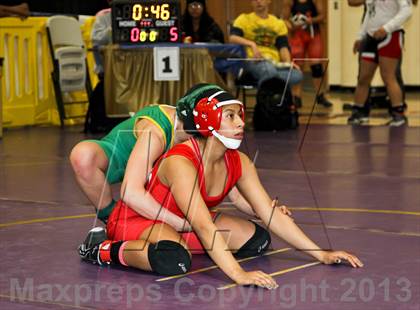 Thumbnail 2 in CIF State Girls Wrestling Championships (Consolation Finals) photogallery.