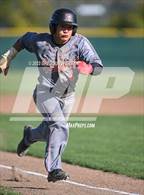 Photo from the gallery "Redwood @ Terra Linda"