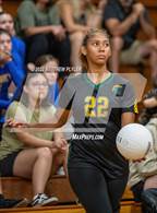 Photo from the gallery "Gray's Creek @ Pine Forest"