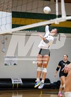 Photo from the gallery "Gray's Creek @ Pine Forest"