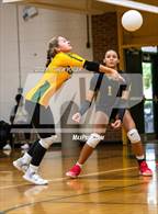 Photo from the gallery "Gray's Creek @ Pine Forest"