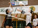Photo from the gallery "Gray's Creek @ Pine Forest"