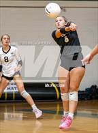 Photo from the gallery "Gray's Creek @ Pine Forest"