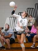 Photo from the gallery "Gray's Creek @ Pine Forest"