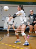 Photo from the gallery "Gray's Creek @ Pine Forest"