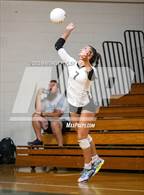 Photo from the gallery "Gray's Creek @ Pine Forest"