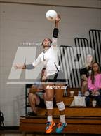 Photo from the gallery "Gray's Creek @ Pine Forest"