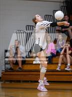 Photo from the gallery "Gray's Creek @ Pine Forest"