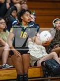 Photo from the gallery "Gray's Creek @ Pine Forest"