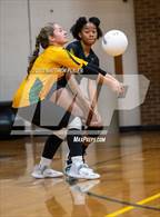 Photo from the gallery "Gray's Creek @ Pine Forest"