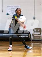 Photo from the gallery "Gray's Creek @ Pine Forest"