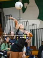 Photo from the gallery "Gray's Creek @ Pine Forest"