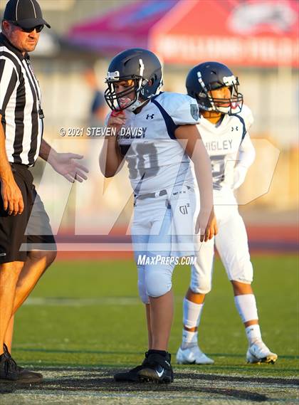 Thumbnail 3 in Higley @ Williams Field photogallery.