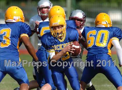Thumbnail 2 in Starpoint @ Lockport photogallery.
