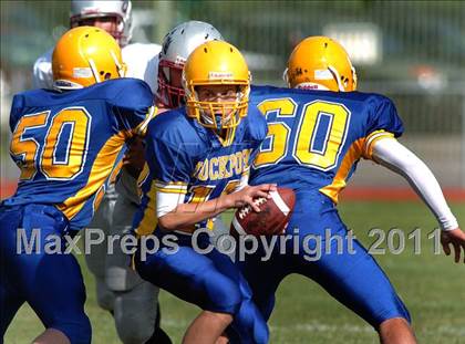 Thumbnail 1 in Starpoint @ Lockport photogallery.