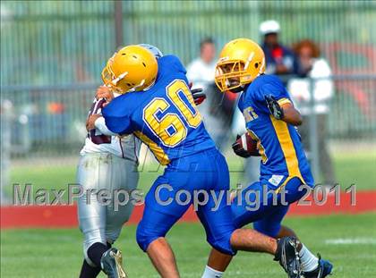 Thumbnail 2 in Starpoint @ Lockport photogallery.