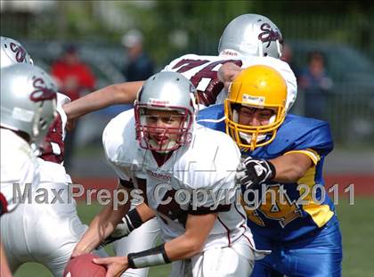 Thumbnail 2 in Starpoint @ Lockport photogallery.