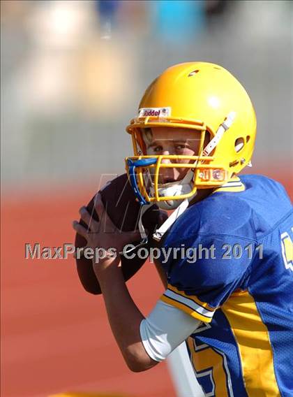 Thumbnail 3 in Starpoint @ Lockport photogallery.