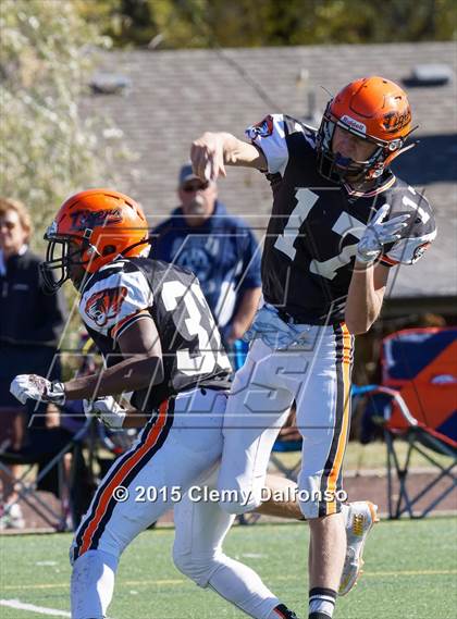 Thumbnail 3 in JV: Columbine @ Lakewood photogallery.