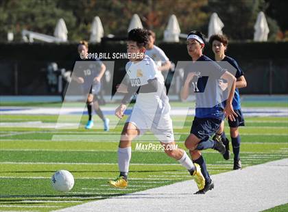 Thumbnail 2 in Novato @ Marin Catholic photogallery.