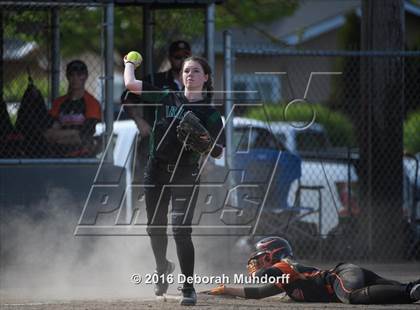 Thumbnail 1 in Sheldon @ Roseburg photogallery.