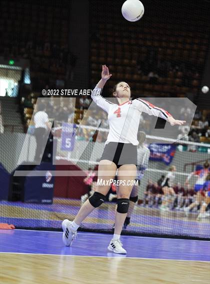 Thumbnail 2 in Centauri vs. Delta (CHSAA 3A 1st Round) photogallery.