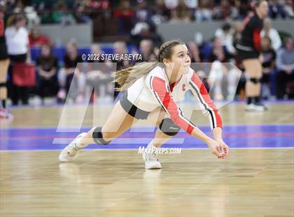 Thumbnail 2 in Centauri vs. Delta (CHSAA 3A 1st Round) photogallery.