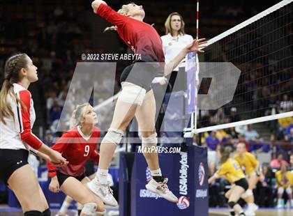 Thumbnail 3 in Centauri vs. Delta (CHSAA 3A 1st Round) photogallery.