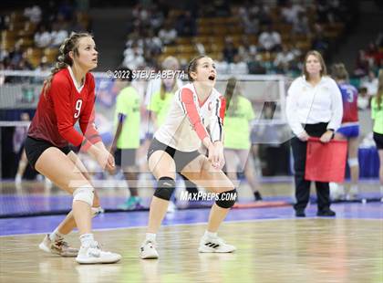 Thumbnail 3 in Centauri vs. Delta (CHSAA 3A 1st Round) photogallery.