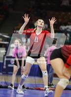 Photo from the gallery "Centauri vs. Delta (CHSAA 3A 1st Round)"