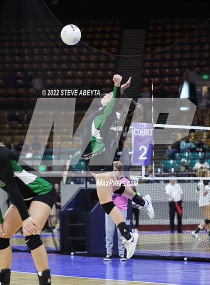 Thumbnail 2 in Centauri vs. Delta (CHSAA 3A 1st Round) photogallery.