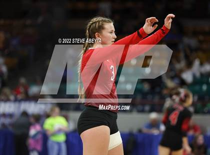 Thumbnail 1 in Centauri vs. Delta (CHSAA 3A 1st Round) photogallery.