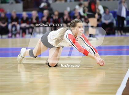 Thumbnail 1 in Centauri vs. Delta (CHSAA 3A 1st Round) photogallery.