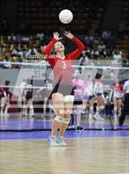 Photo from the gallery "Centauri vs. Delta (CHSAA 3A 1st Round)"