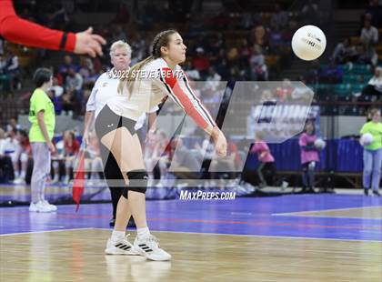Thumbnail 3 in Centauri vs. Delta (CHSAA 3A 1st Round) photogallery.