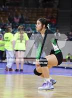 Photo from the gallery "Centauri vs. Delta (CHSAA 3A 1st Round)"