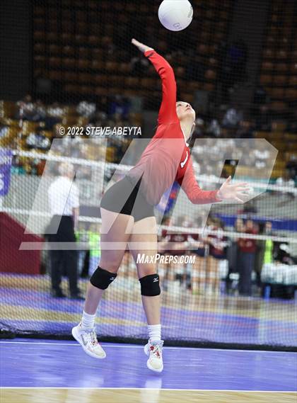 Thumbnail 2 in Centauri vs. Delta (CHSAA 3A 1st Round) photogallery.