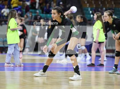 Thumbnail 1 in Centauri vs. Delta (CHSAA 3A 1st Round) photogallery.