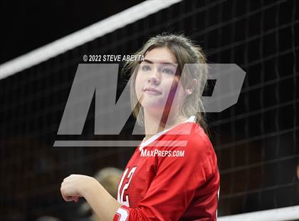 Thumbnail 2 in Centauri vs. Delta (CHSAA 3A 1st Round) photogallery.