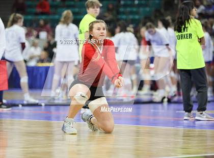 Thumbnail 3 in Centauri vs. Delta (CHSAA 3A 1st Round) photogallery.