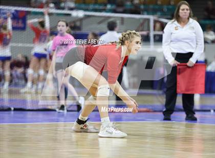 Thumbnail 2 in Centauri vs. Delta (CHSAA 3A 1st Round) photogallery.