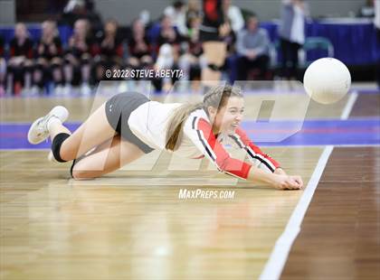 Thumbnail 3 in Centauri vs. Delta (CHSAA 3A 1st Round) photogallery.
