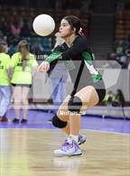 Photo from the gallery "Centauri vs. Delta (CHSAA 3A 1st Round)"