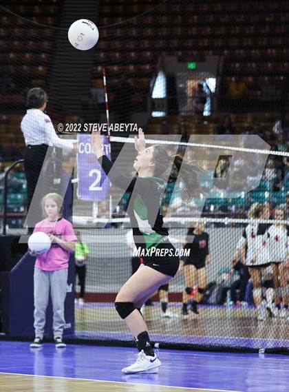 Thumbnail 1 in Centauri vs. Delta (CHSAA 3A 1st Round) photogallery.