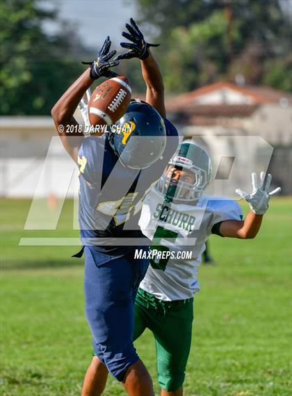 Thumbnail 2 in Schurr @ Alhambra photogallery.